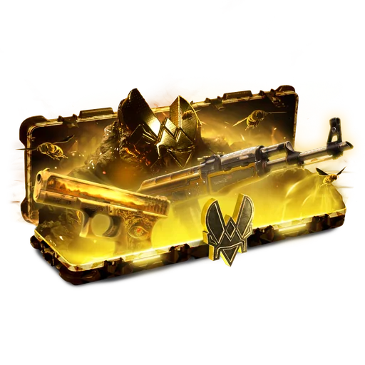 Team Vitality
